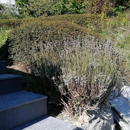 アパート Aux Larges Pierres アンエ