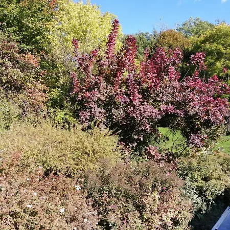 アパート Aux Larges Pierres アンエ