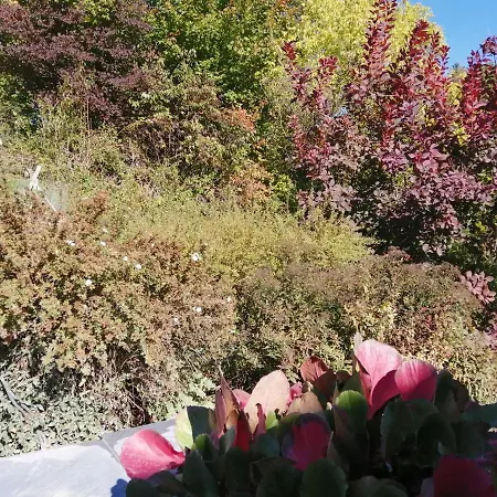 Aux Larges Pierres *