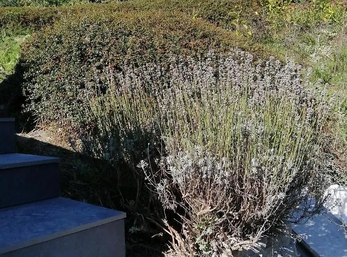 Apartment Aux Larges Pierres Anhée