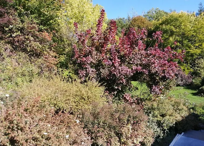 Apartmán Aux Larges Pierres Anhée